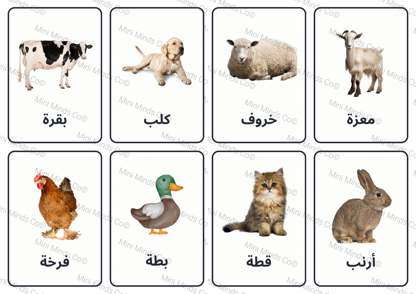 Arabic Animal Flashcards