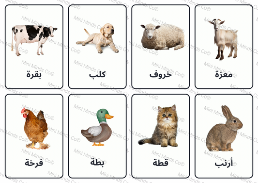 Arabic Animal Flashcards