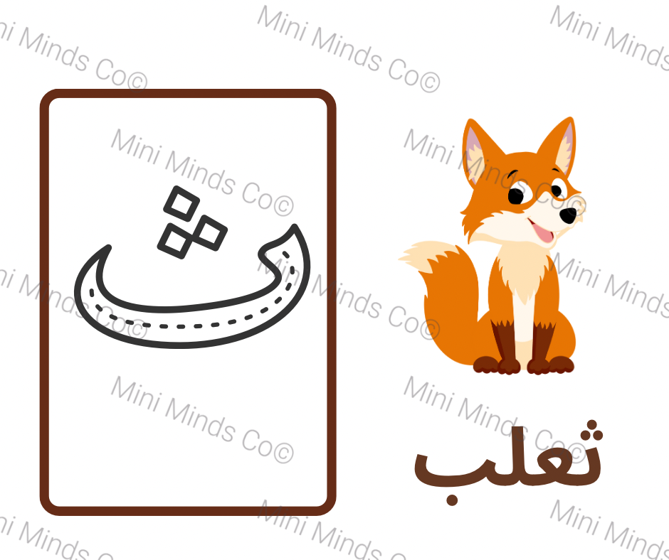 Alphabet Flashcards - Arabic