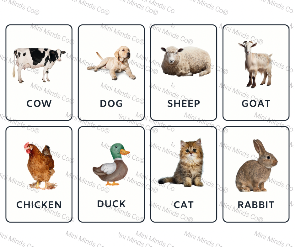 English Animal Flashcards