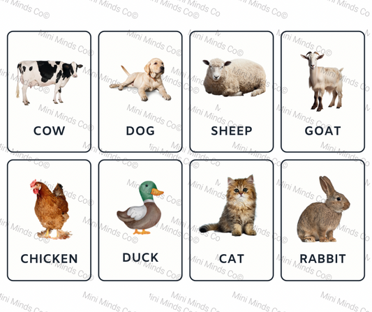 English Animal Flashcards