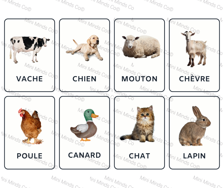French Animal Flashcards