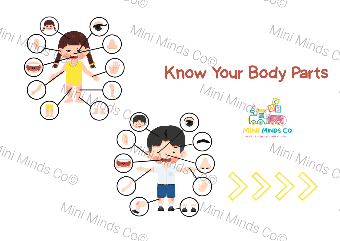 My Body Parts Flashcards