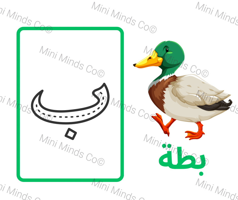 Alphabet Flashcards - Arabic