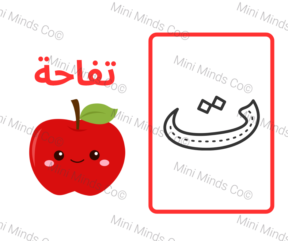 Alphabet Flashcards - Arabic